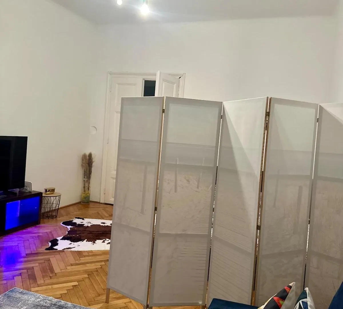 Zentral Gelegene Altbauwohnung Vienna