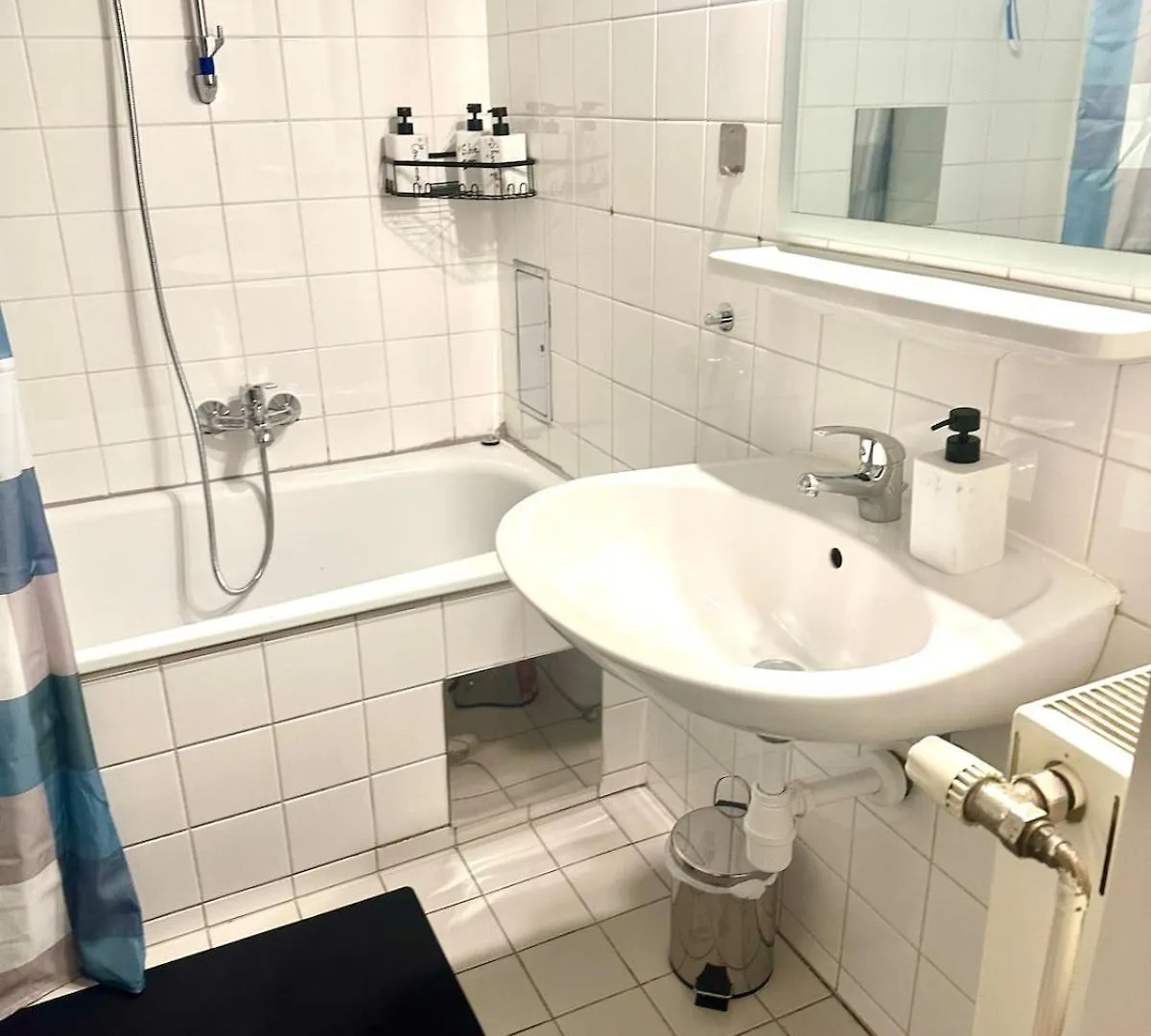 Zentral Gelegene Altbauwohnung Vienna